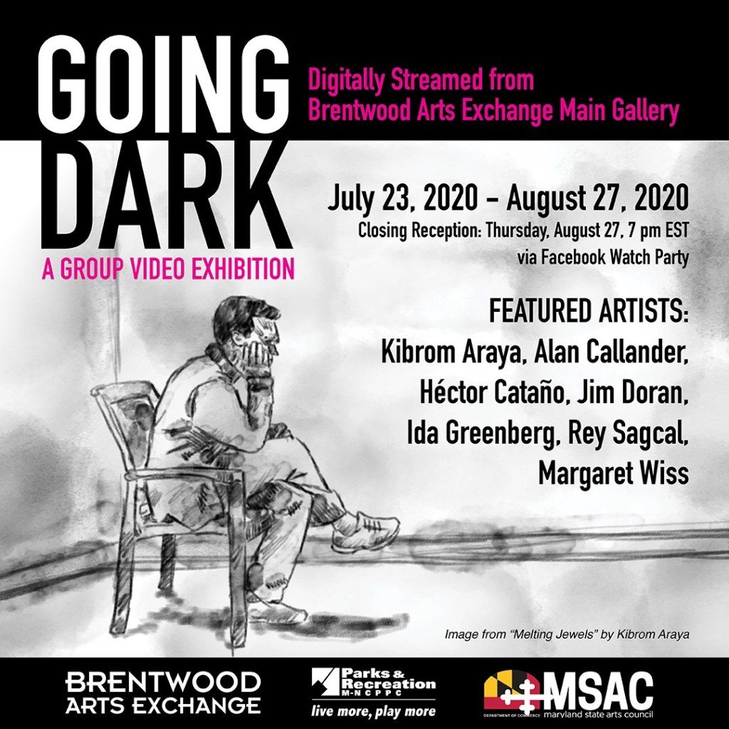 Going Dark. 7 Artist video installation running July 23rd to August 27th, 2020 at Brentwood Arts Exchange on online.